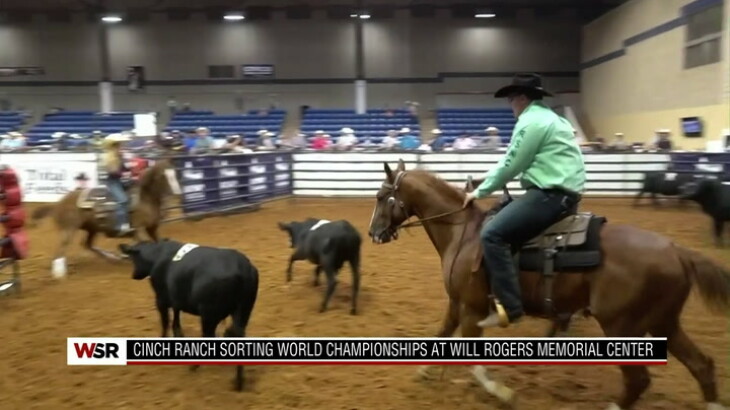 Ranch Sorting Comes to Ft. Worth - Cowboy Channel