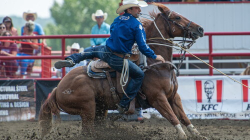 Northhaven Pro Rodeo Haven Meged Leads Tie-Down Roping Top 12 Leading into 2023 Canadian ...