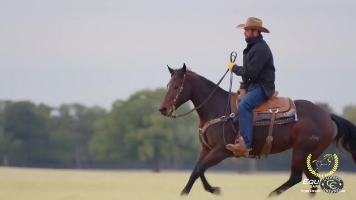 Paul Eaves Roper World Champion Team Roper Paul Eaves' Barn is Home to Some Star ...