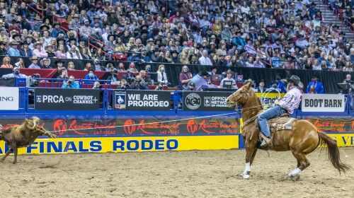 Rhen Richard Rodeo PRCA Team Roping (Heeler) World Standings Update: Jeremy Buhler Stays ...