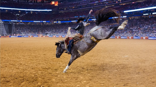 Houston Rodeo Run Course The Semifinals Field at RODEOHOUSTON Is Set - Cowboy Channel