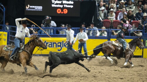 Tyler Wade/Wesley Thorp Make Clutch Round 10 Run to Win Back-to-Back ...