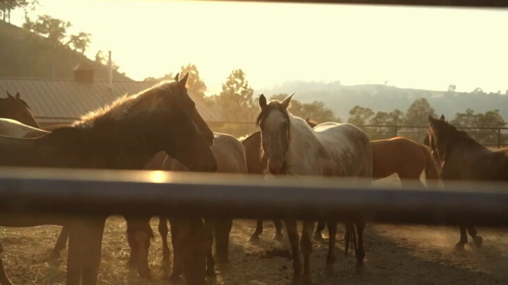 California Valley is Home to the Veater Ranch Battle of the Best ...